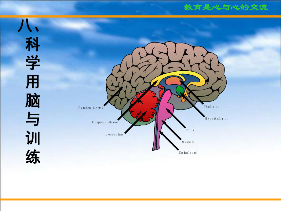 c(科学用脑、心态调整和考前家长心态).ppt_第2页