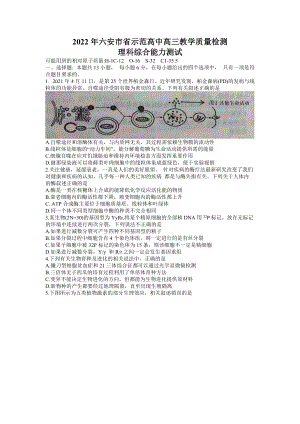 安徽省六安市2021-2022学年高三教学质量检测理科综合试题及答案.docx