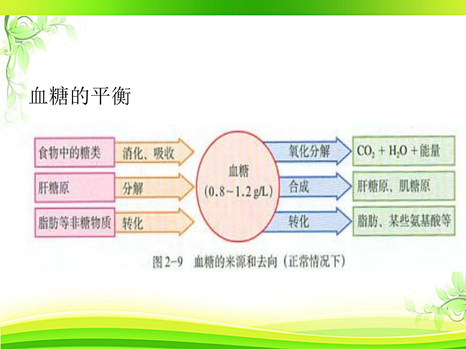 妊娠合并糖尿病-ppt课件.ppt_第3页