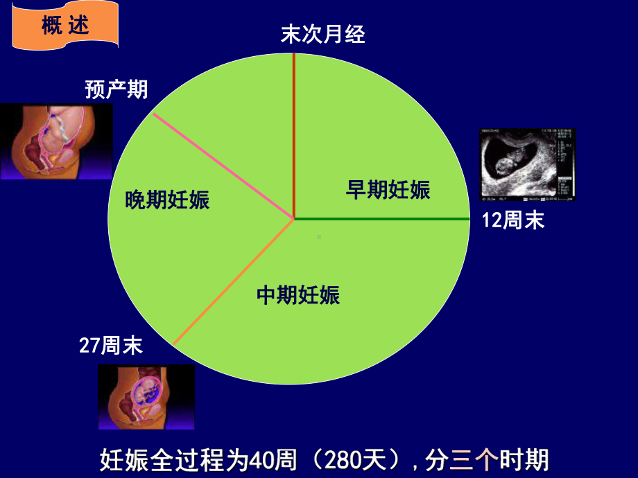 妇产科基本技能课件.ppt_第3页