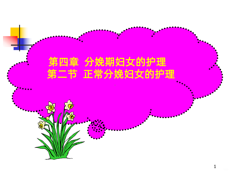 分娩期妇女的护理PPT课件.ppt_第1页