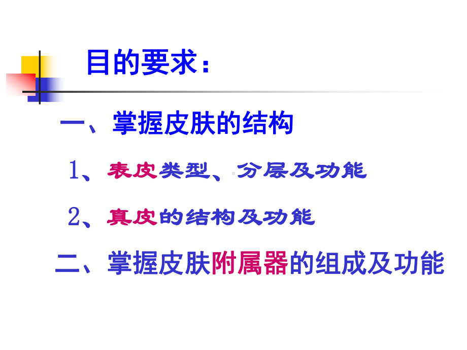 医学课件《组织胚胎学》皮肤、睾丸.ppt_第2页