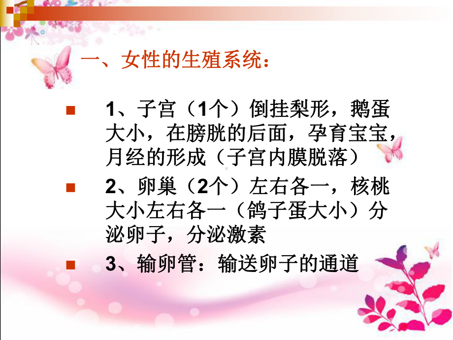 卵巢保养ppt课件.ppt_第2页