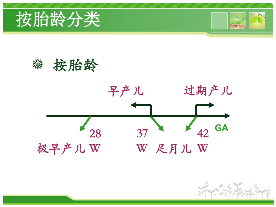 早产儿的特点及护理 ppt课件.pptx_第3页