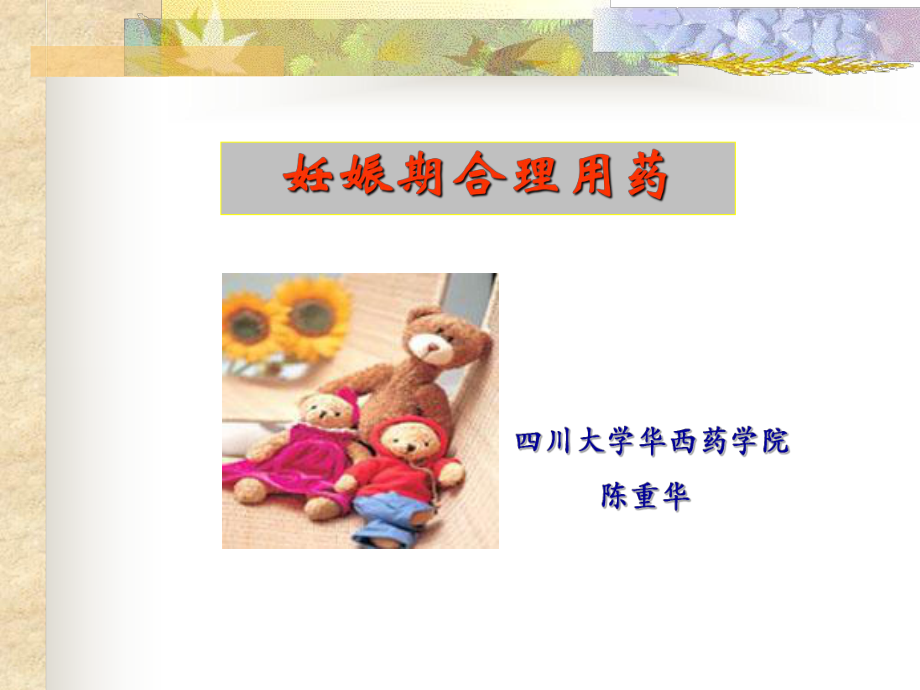 妊娠期的合理用药.课件.ppt_第1页