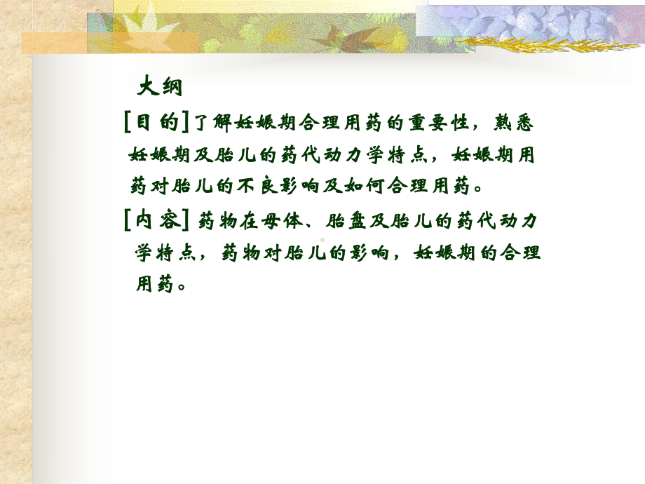 妊娠期的合理用药.课件.ppt_第2页