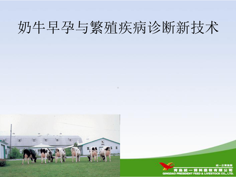 奶牛的妊娠诊断.ppt课件.ppt_第1页