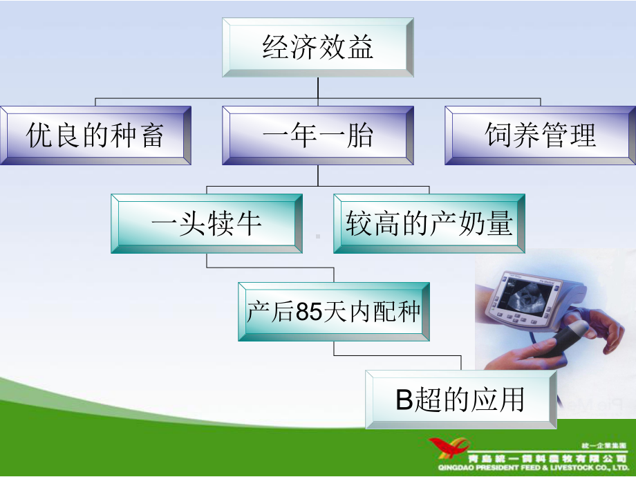 奶牛的妊娠诊断.ppt课件.ppt_第2页