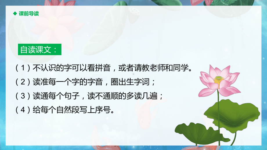 人教版三年级语文下册荷花素材PPT下载课件.pptx_第3页