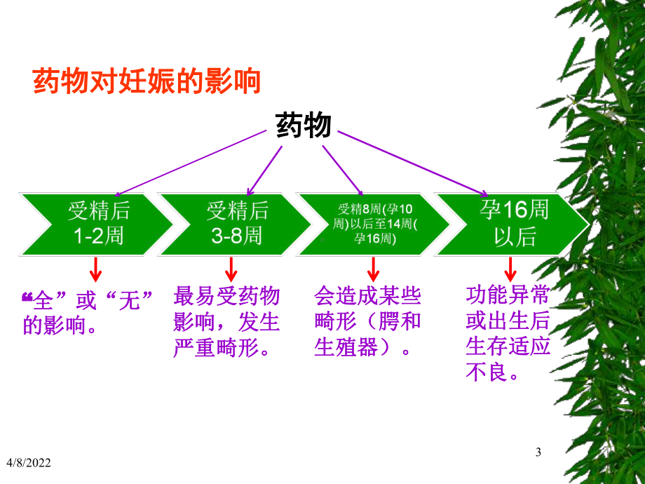 妊娠期合理用药-PPT课件.ppt_第3页