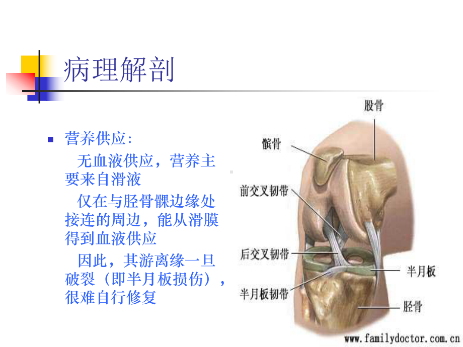 关节镜下半月板损伤缝合术后的护理-PPT课件.ppt_第3页