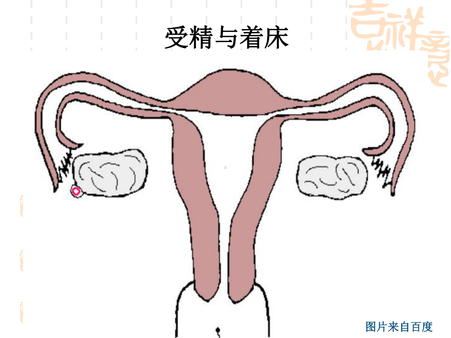 产科妊娠诊断ppt课件.ppt_第3页