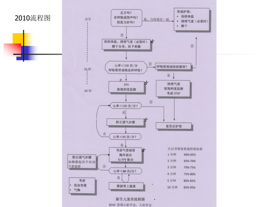 新生儿复苏操作培训PPT演示课件.ppt_第2页