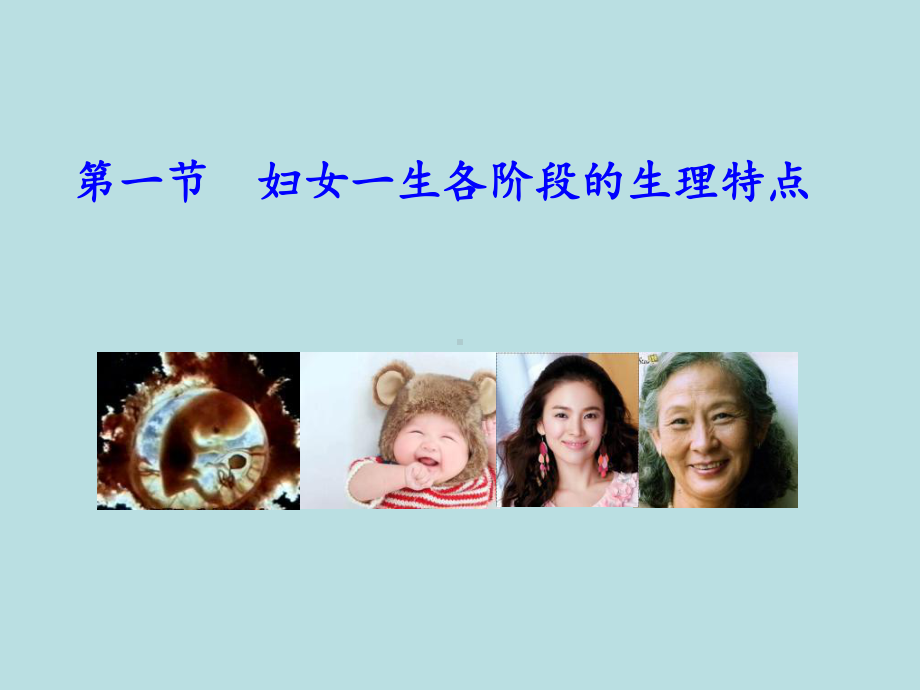 妇产科学-女性生殖系统生理课件.ppt_第3页