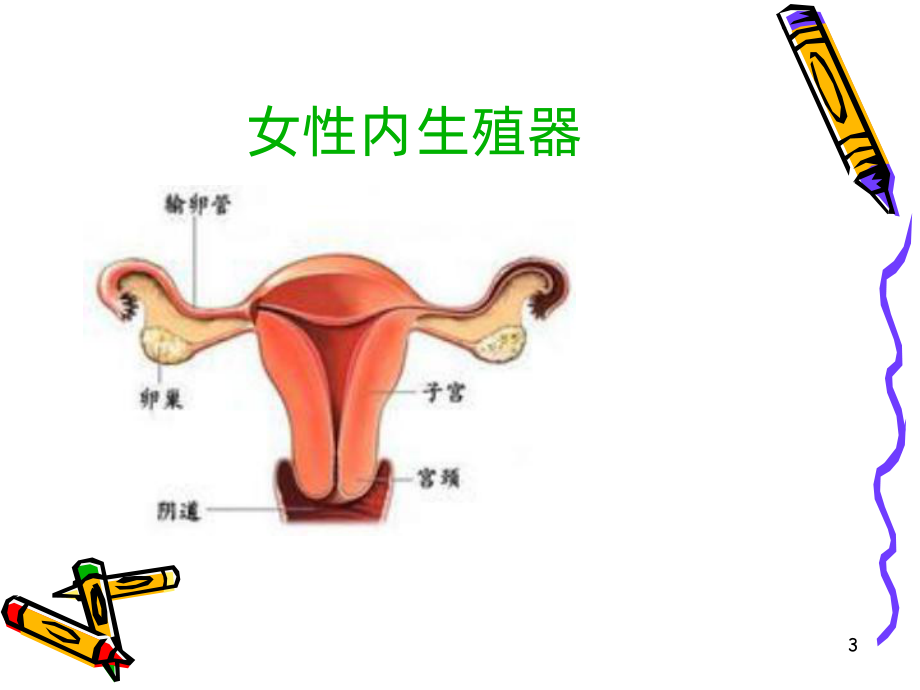 异位妊娠的护理及抢救流程-PPT课件.ppt_第3页