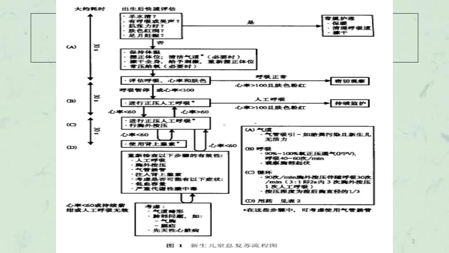 新生儿专业复苏技术课件.ppt_第2页