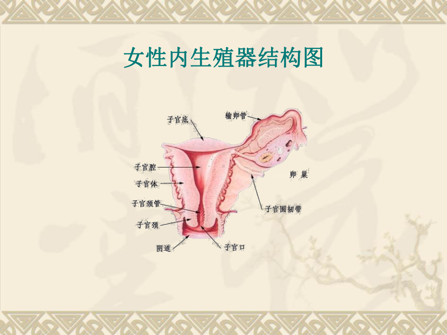 宫外孕异位妊娠护理查房课件.ppt_第3页