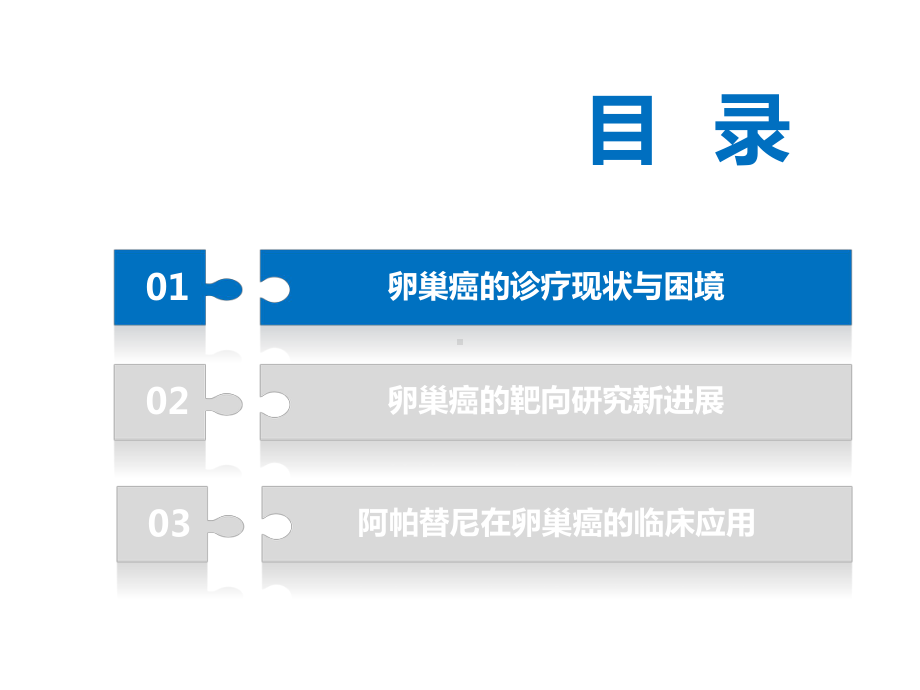 卵巢癌靶向治疗新进展课件.pptx_第2页