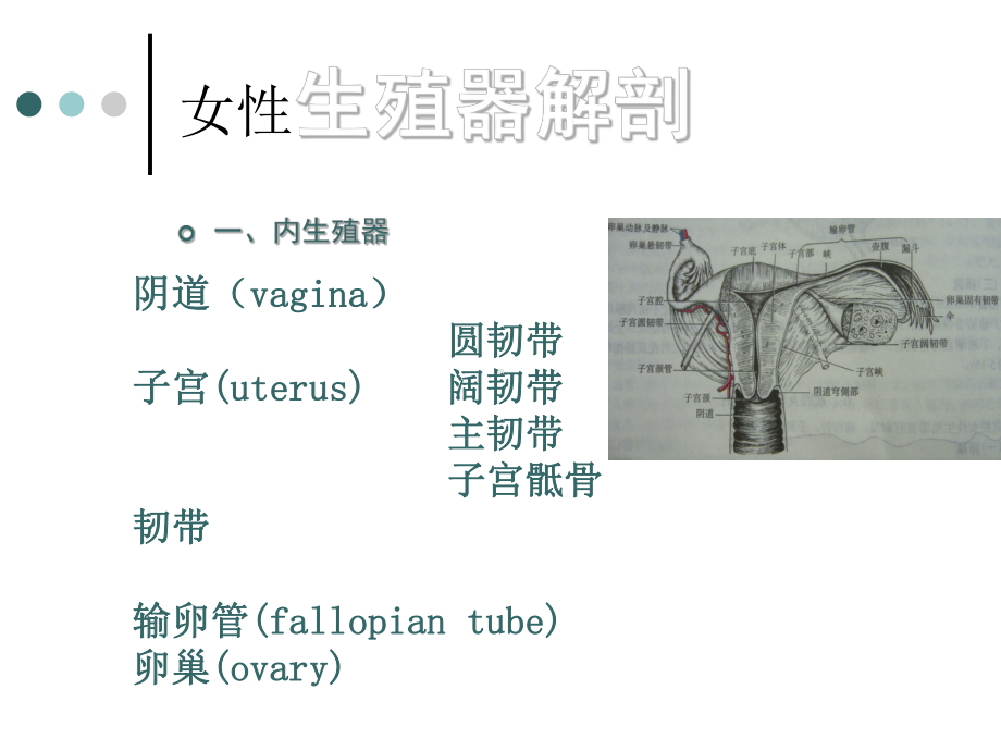 子宫切除术护理查房1课件.ppt_第3页