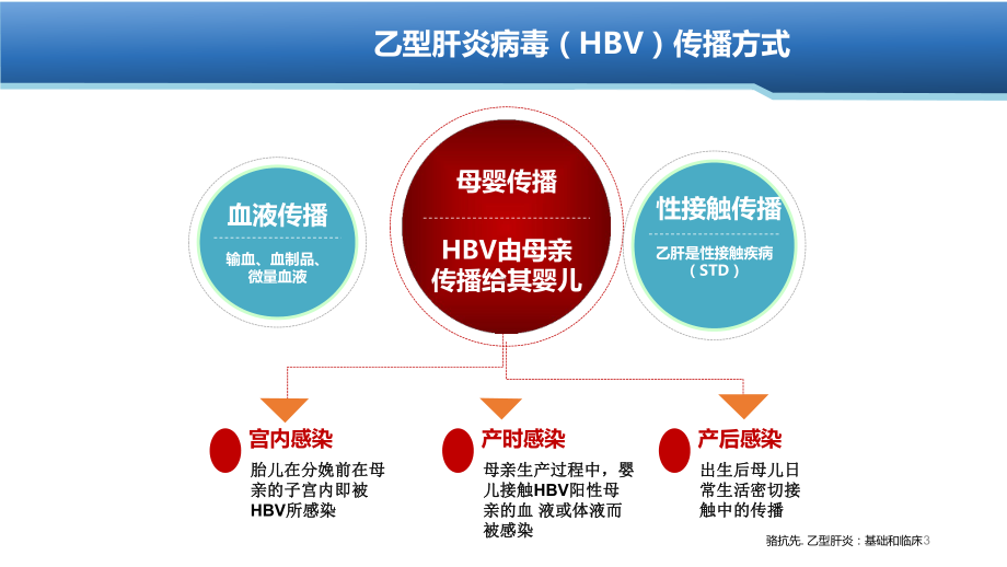 乙肝感染孕妇管理和抗病毒治疗策略PPT课件.ppt_第3页