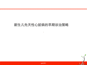 新生儿先天性心脏病的早期诊治策略-ppt课件.ppt