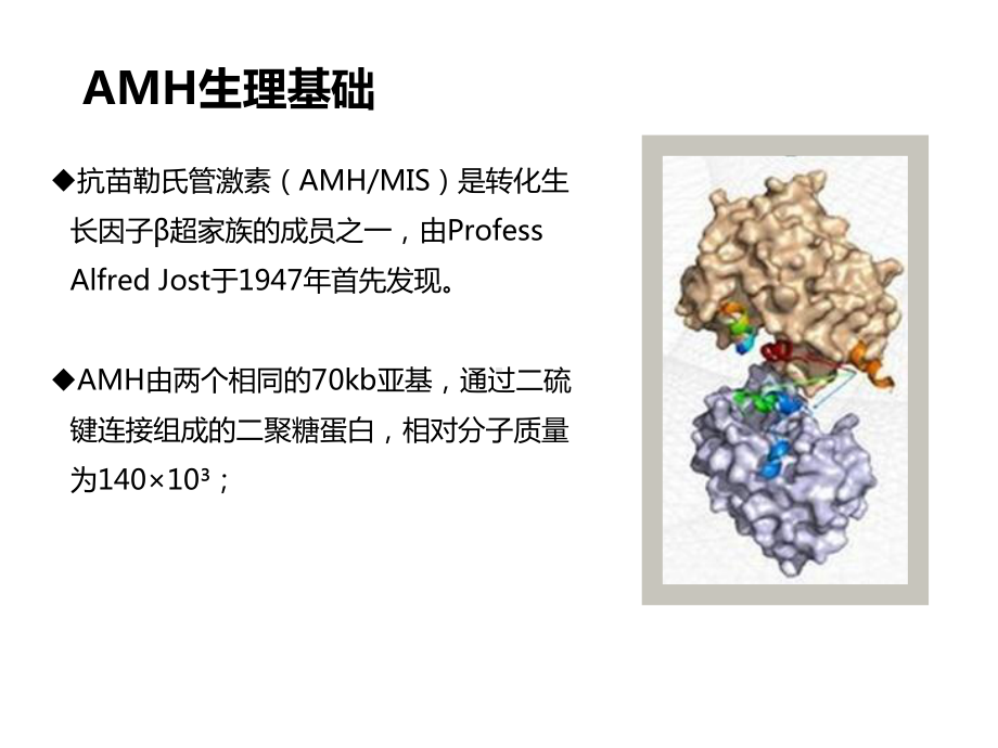 卵巢储备功能新指标ppt课件.pptx_第3页