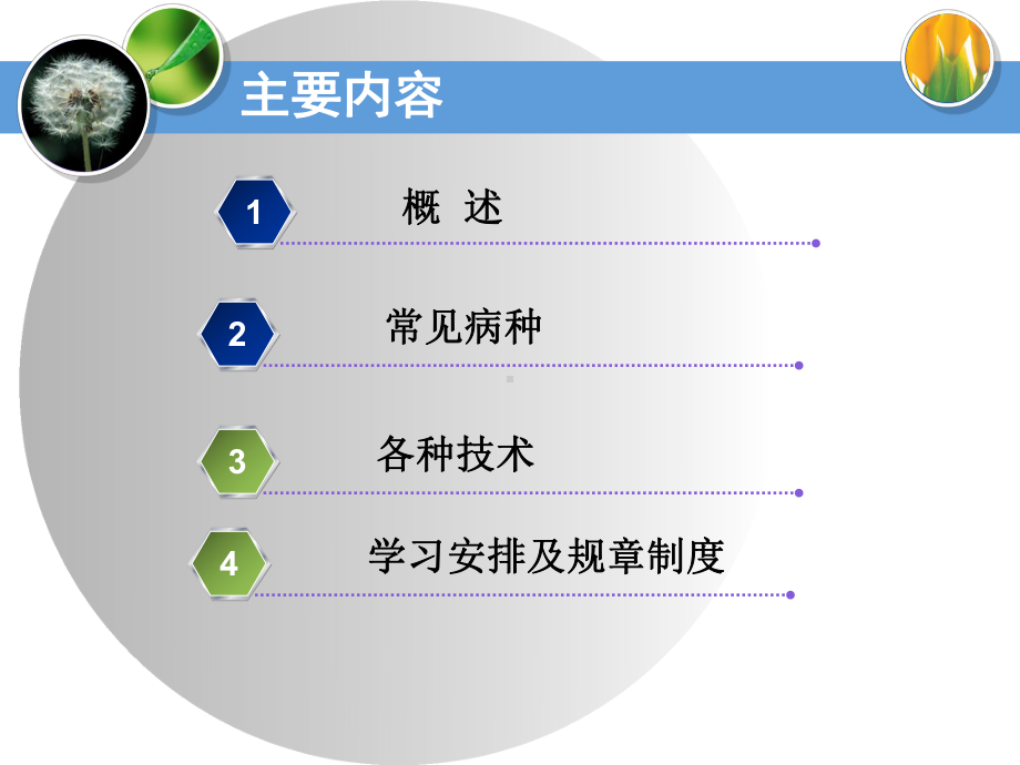 妇产科入科教育课件.ppt_第2页