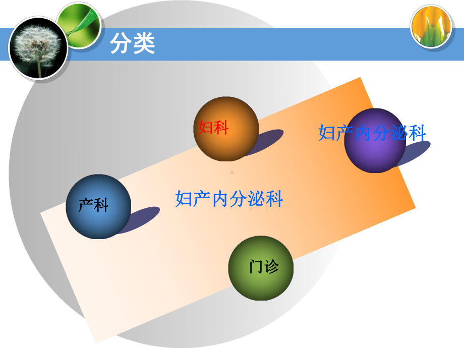 妇产科入科教育课件.ppt_第3页