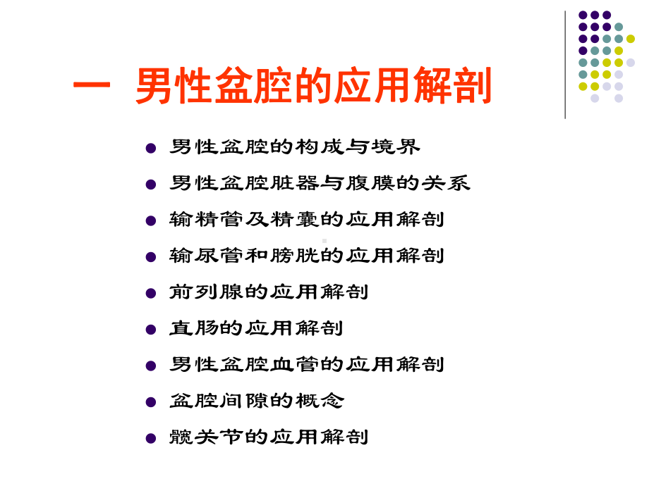 断面-盆腔男课件.ppt_第2页