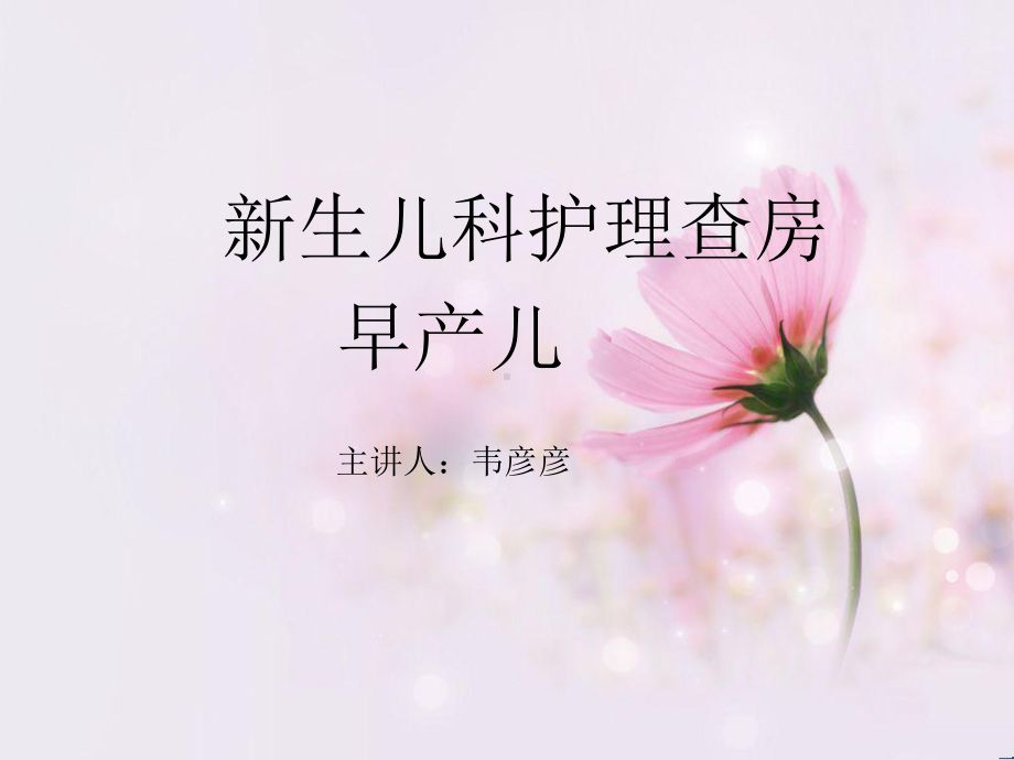 早产儿护理查房课件.ppt_第1页