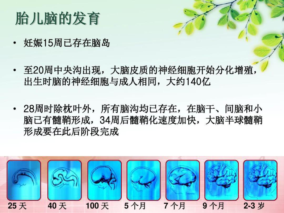 新生儿发育支持护理共29页课件.ppt_第2页