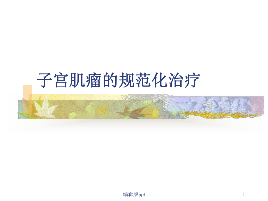 子宫肌瘤治疗PPT课件.ppt_第1页