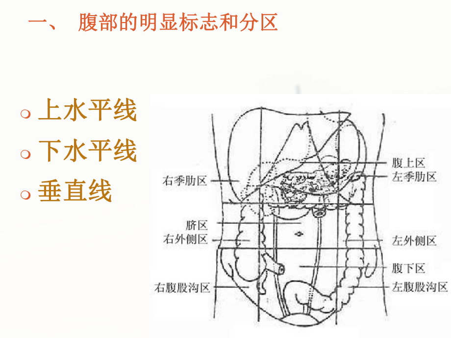 妇产科手术切口与缝合（妇产科）-ppt课件.ppt_第3页