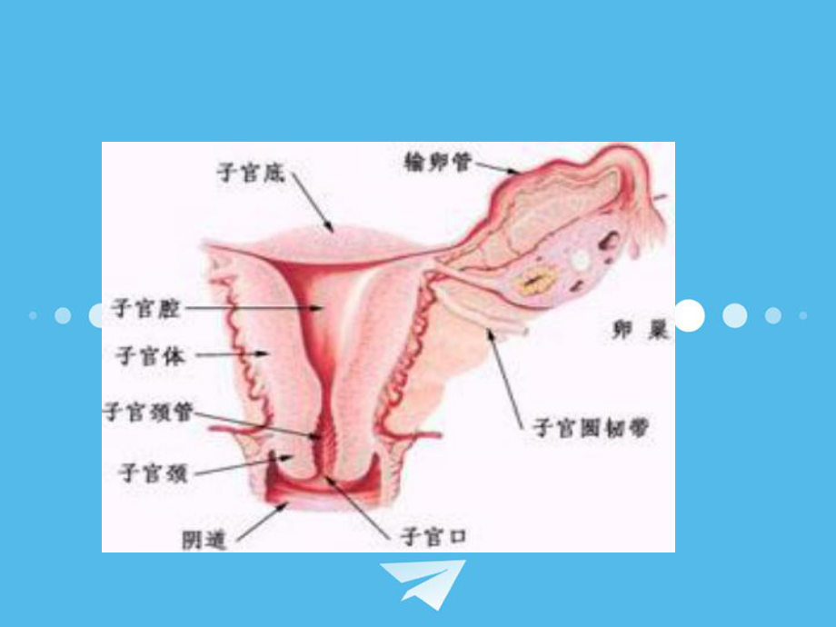 卵巢癌的护理课件.ppt_第3页