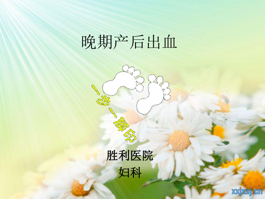 晚期产后出血ppt课件1.ppt_第1页