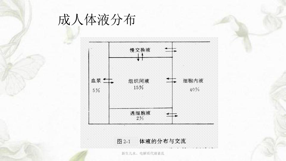 新生儿水、电解质代谢紊乱ppt课件.ppt_第2页