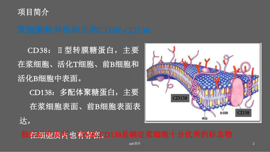 慢性子宫内膜炎诊断标志物检测-ppt课件.ppt_第2页