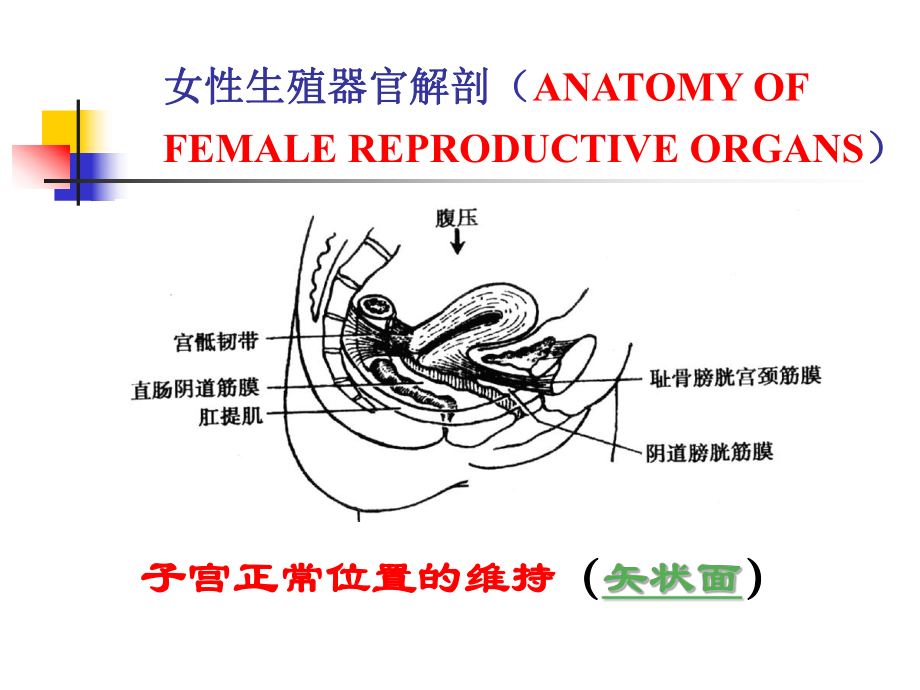 妊娠高血压综合征的诊断和治疗课件.ppt_第2页