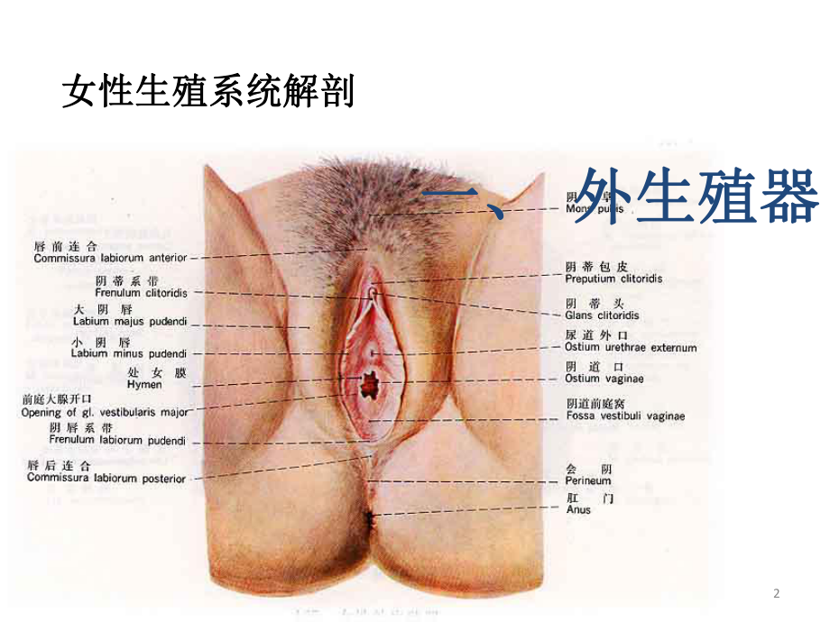 妊娠、分娩和产褥期疾病病人的护理课件.ppt_第2页