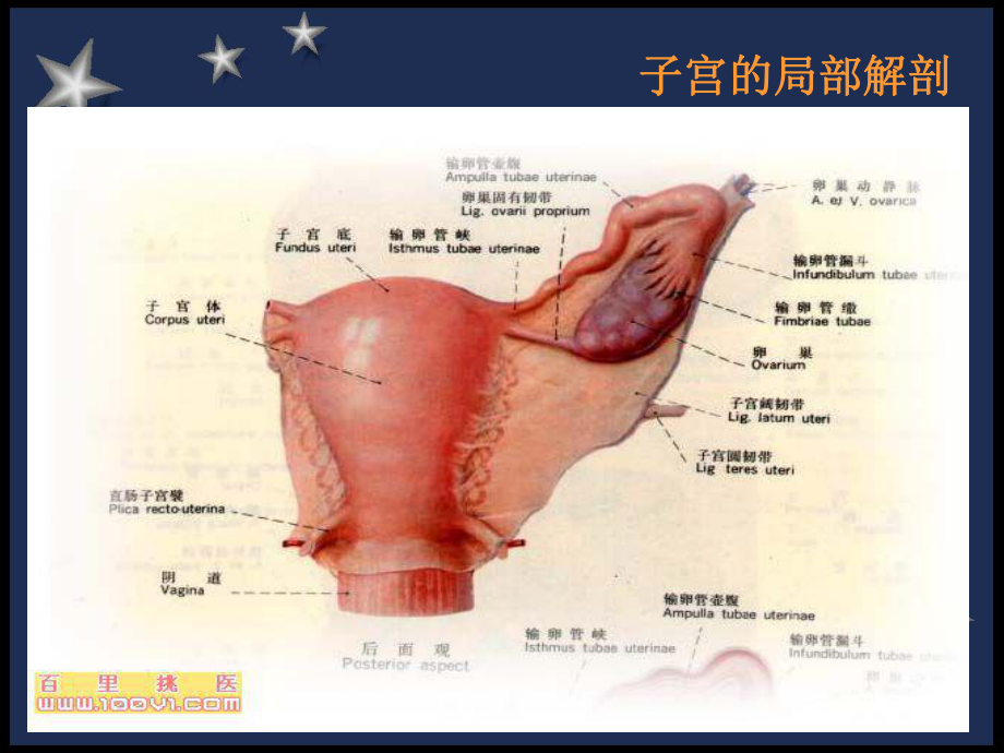 剖宫产术前术后的护理PPT课件1.ppt_第3页