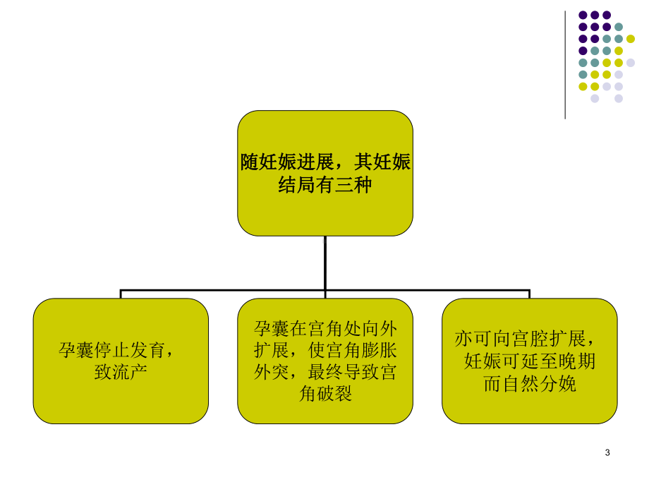 宫角妊娠的护理PPT课件.ppt_第3页