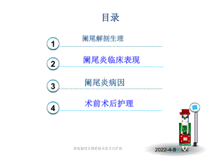 新版阑尾炎腹腔镜术前术后护理培训课件.ppt