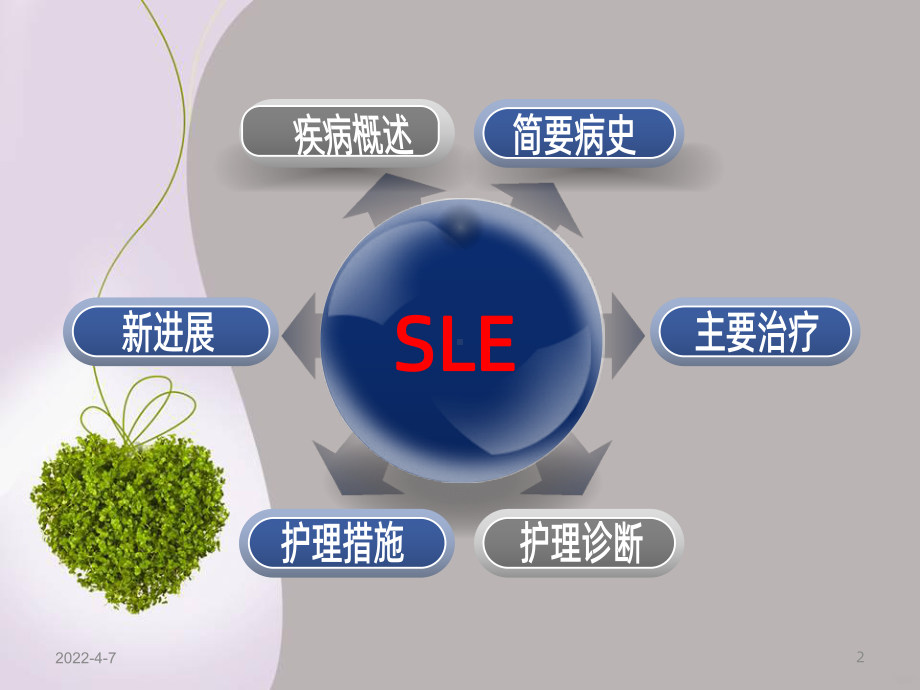 SLE妊娠合并系统性红斑狼疮PPT课件.ppt_第2页