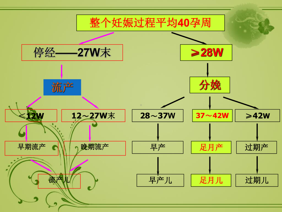 分娩期妇女护理课件.ppt_第3页