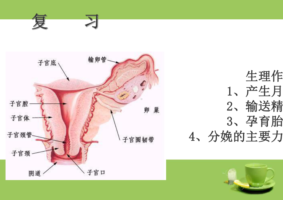 子宫颈癌病人的护理ppt课件.ppt_第1页