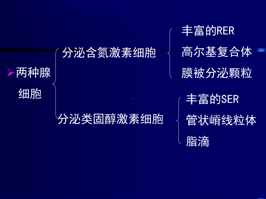 内分泌系统-组织胚胎学课件.ppt_第3页