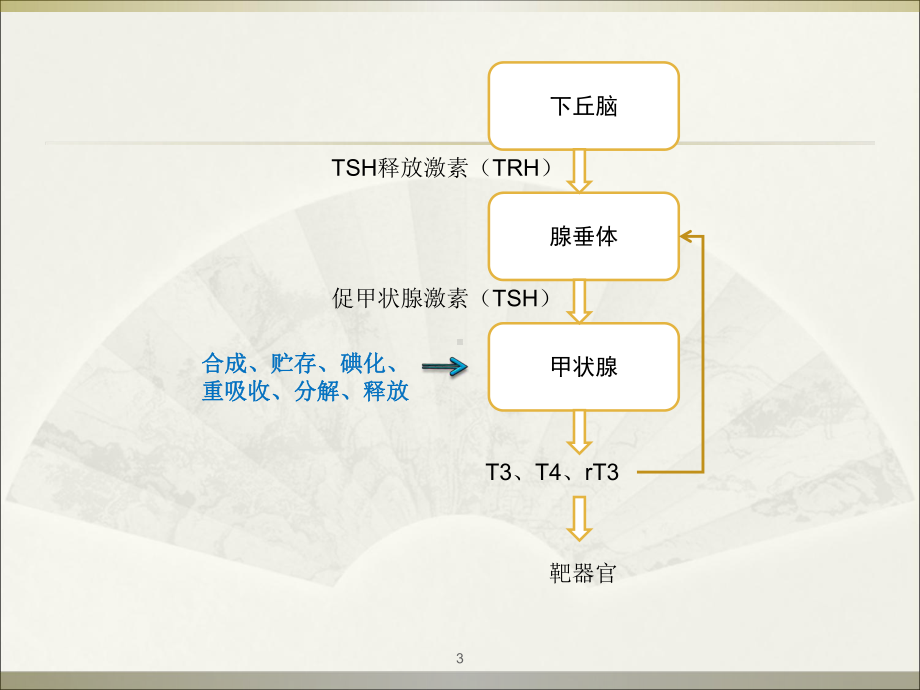 新生儿甲状腺功能异常PPT课件.ppt_第3页