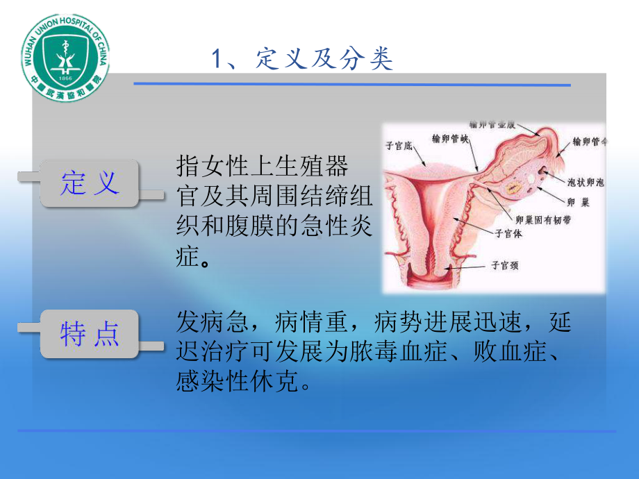 急性盆腔炎专业医学知识宣讲讲义课件.ppt_第3页