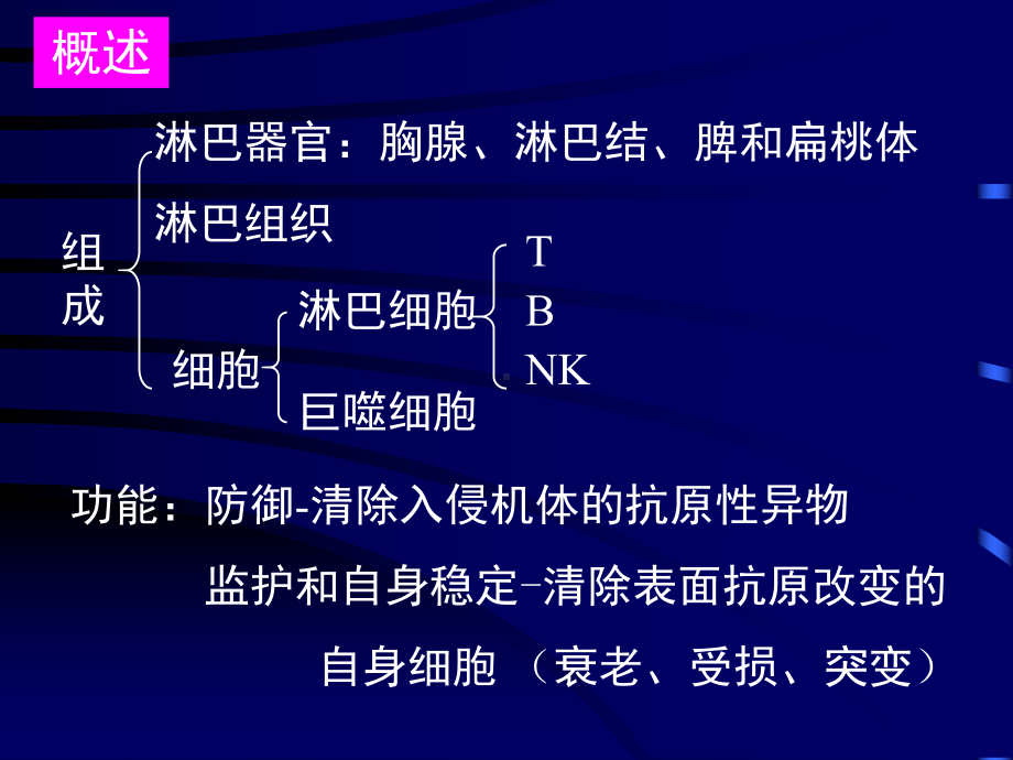 [医学]129组织胚胎学课件21 免疫系统护理.ppt_第2页