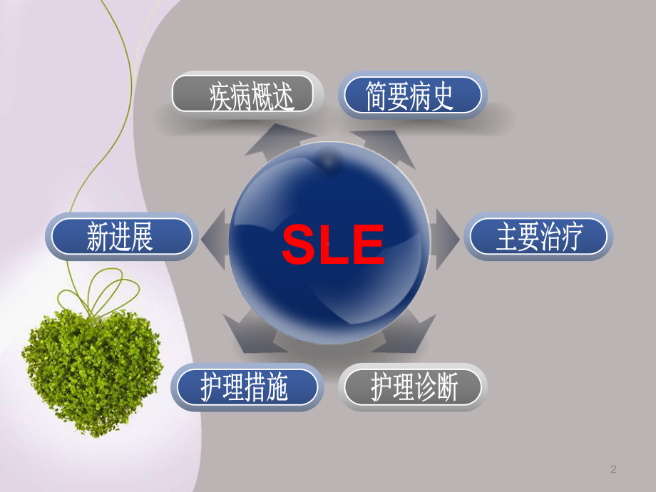 SLE妊娠合并系统性红斑狼疮课件.ppt_第2页